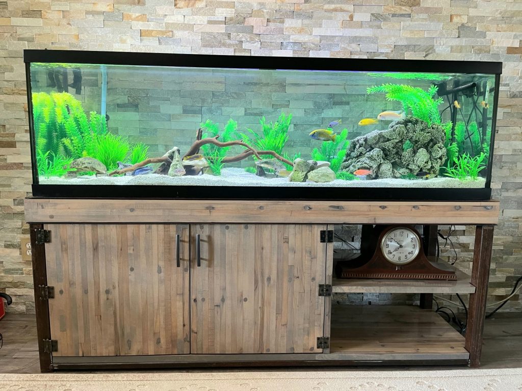 modern series stands for fish tanks