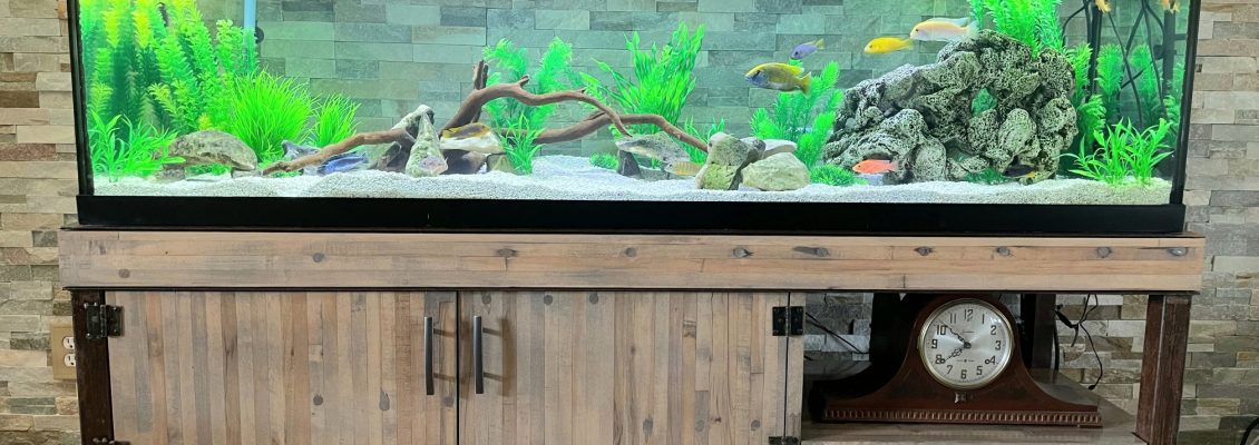 Aquarium Stand 4